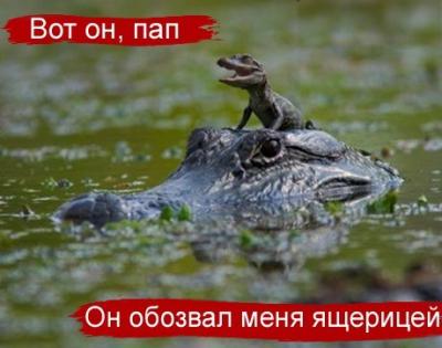 Прикрепленное изображение: x_9fe27fa1.jpg